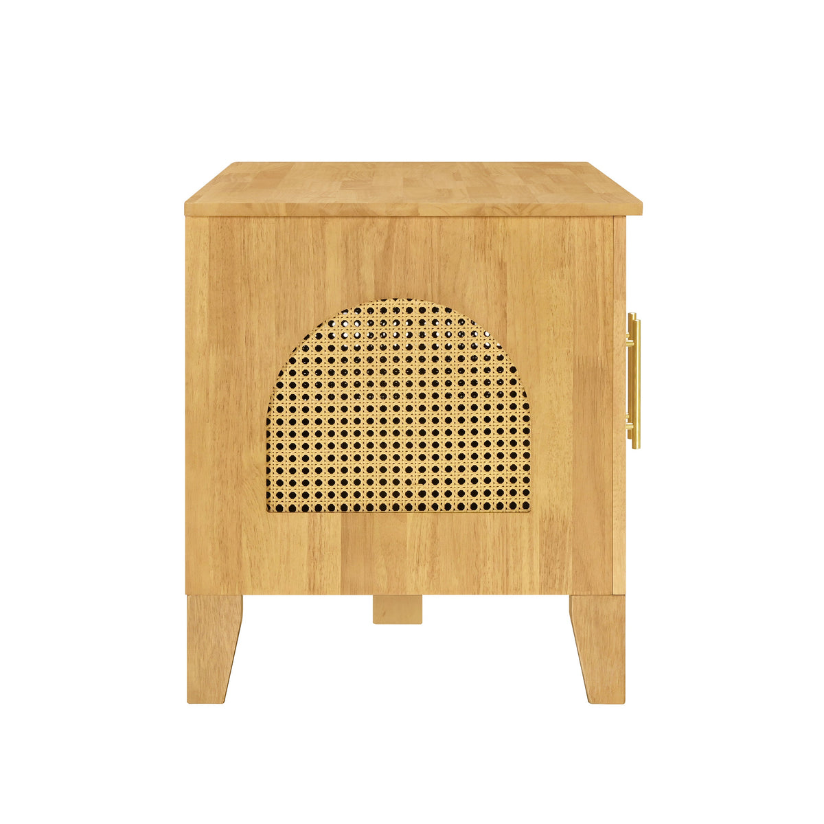 Lars Indoor Rattan Rubber Wood Dog Crate Cabinet with Storage - Natural