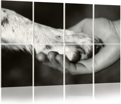 Acoustic Art Wall Panels – Human Hand & Dog Paw, Black & White, 8-Pack, 48" × 32"