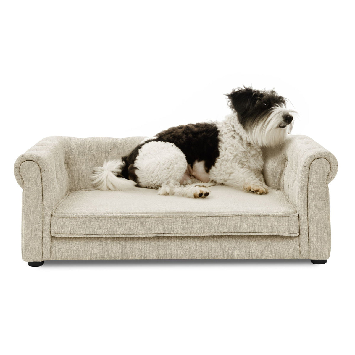 Modern Elegant Rectangle Pet Bed with Elevated Design - Multiple Colors