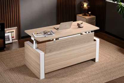Executive Standing Desk