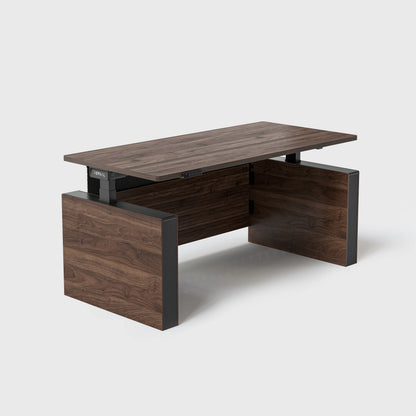 Executive Standing Desk