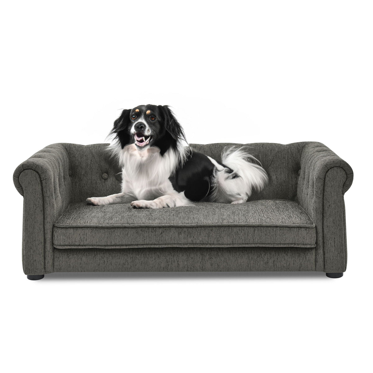Modern Elegant Rectangle Pet Bed with Elevated Design - Multiple Colors