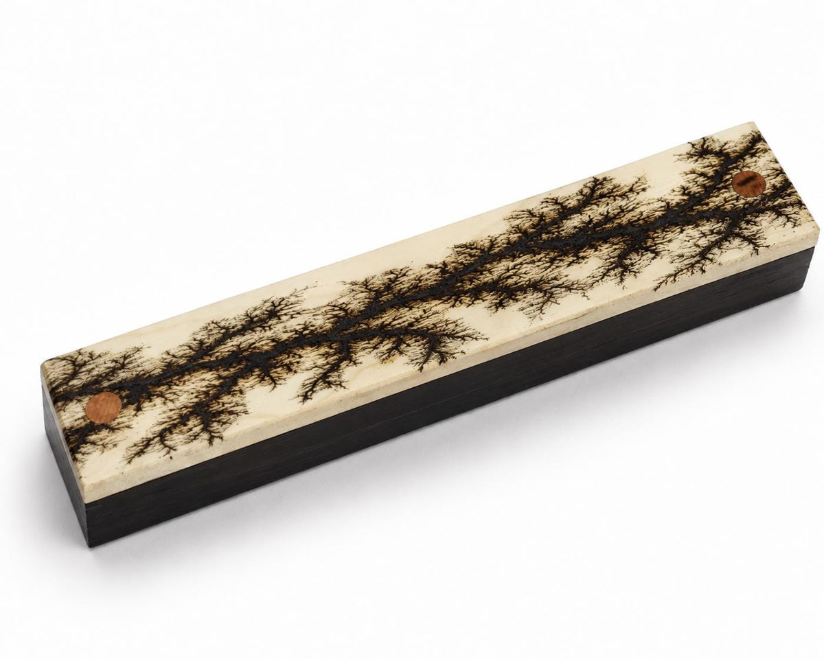 Handcrafted Walnut Ballpoint Pen with Fractal Burn Wenge Maple Case
