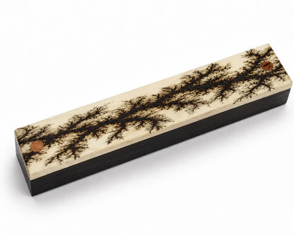 Handcrafted Walnut Ballpoint Pen with Fractal Burn Wenge Maple Case