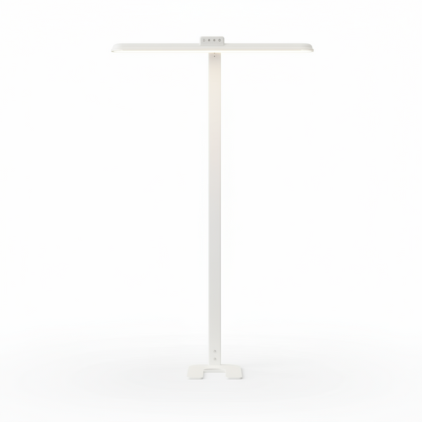 LED Desk Lamp for Home Office, Double Head Desk Lamp,24W Dimmable Desk Light